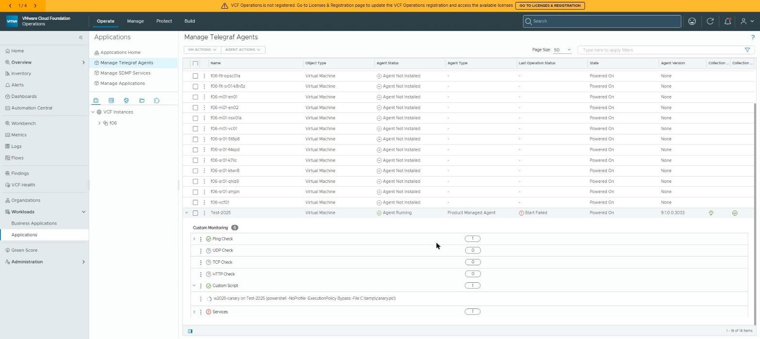 Custom Monitoring on the W2025 agent: Ping Check, Services, and the w2025-canary custom script