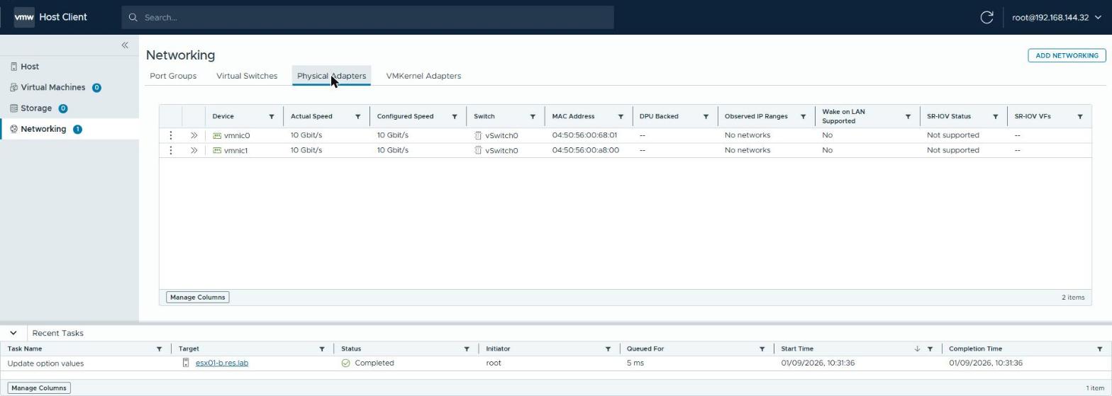 Host Client: vmnic0 and vmnic1, both 10 Gbit/s on vSwitch0
